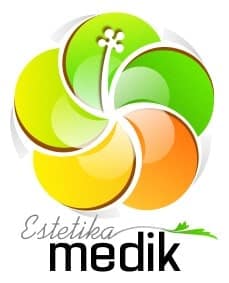 Kursus Estetika